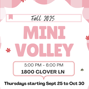 2025 SF fall league posts